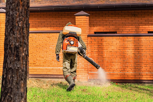 Top rated local Cockroach Control specialists in Bloomfield, IN
